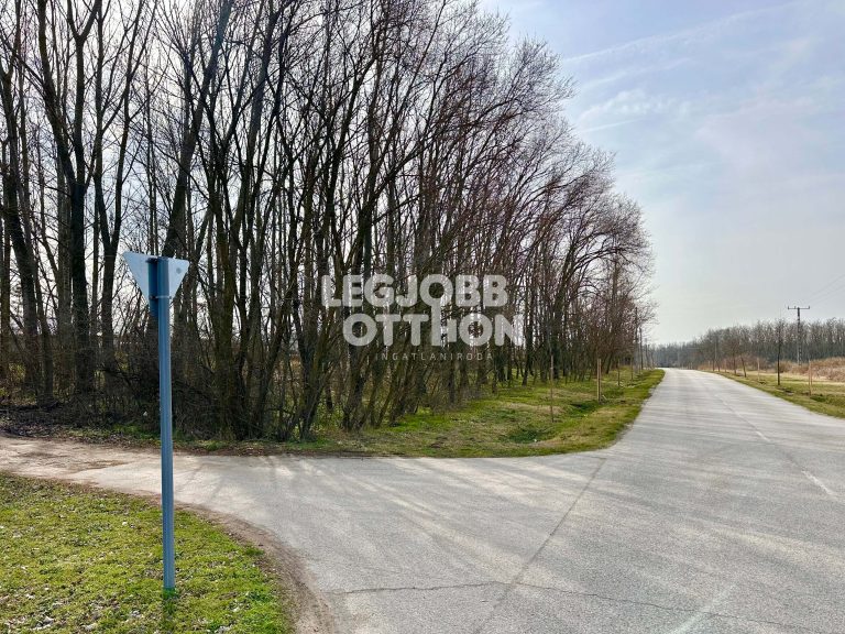 Eladó üdülőövezeti telek Cegléden