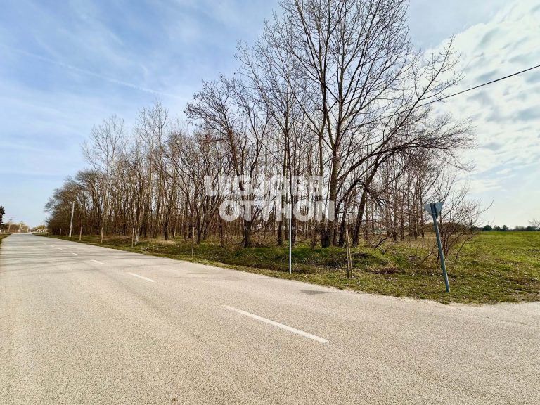 Eladó üdülőövezeti telek Cegléden