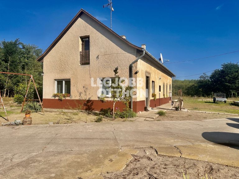 Eladó családi ház hatalmas telekkel Nagykőrösön – VIDEÓVAL