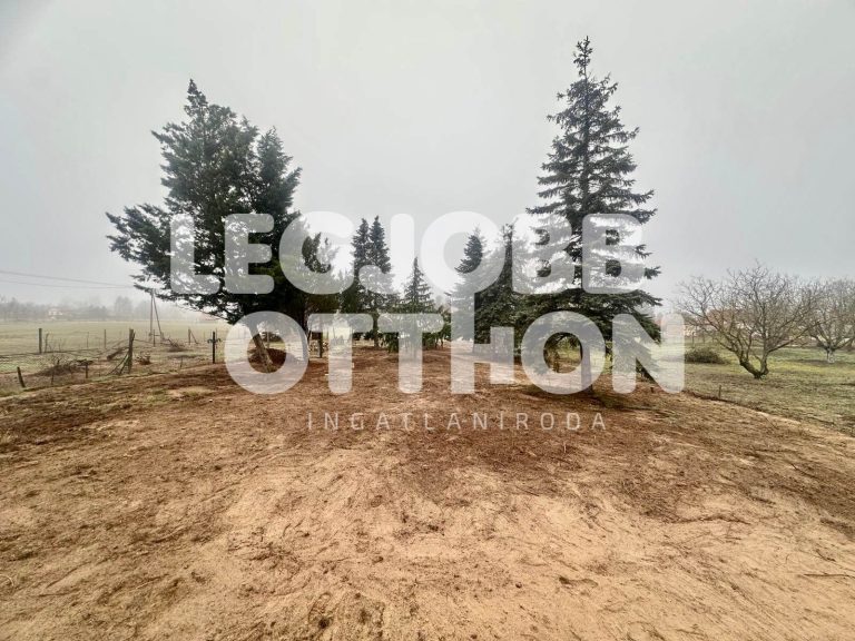 Eladó mezőgazdasági telek Cegléden az Öregszőlőben