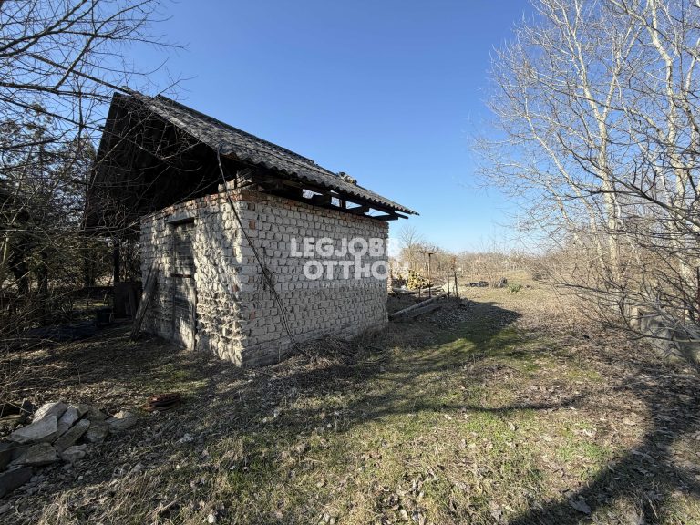 Eladó gyümölcsös és szőlő Csemő-Zöldhalomban