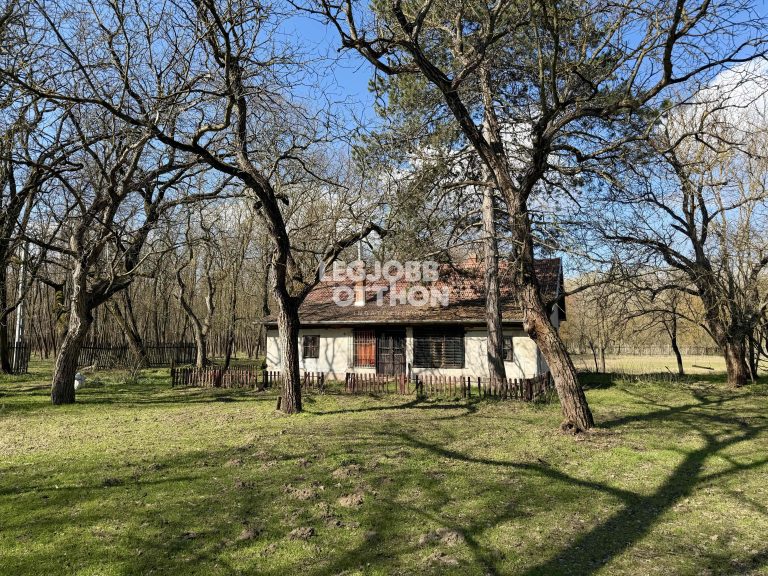 Eladó erdős részen fekvő tanya Mikebuda külterületén